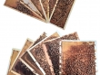 Photographic kit - frames for teaching hive - 38 Cards